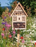 habitat insectes e1874857